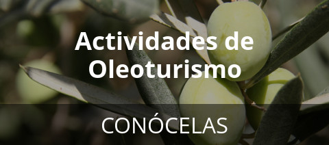 Actividades de Oleoturismo